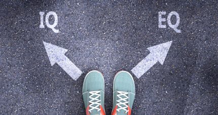 Emotionale Intelligenz Wenn das Gefühl der nackten Logik die Stirn bietet